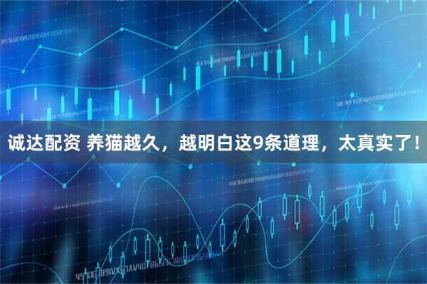 诚达配资 养猫越久，越明白这9条道理，太真实了！