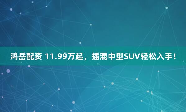 鸿岳配资 11.99万起，插混中型SUV轻松入手！