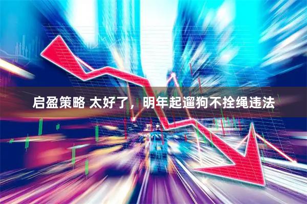 启盈策略 太好了，明年起遛狗不拴绳违法