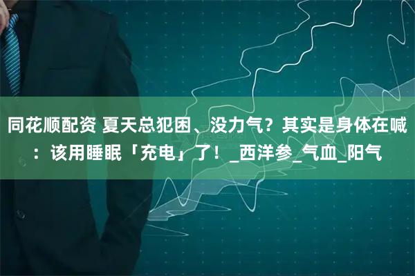 同花顺配资 夏天总犯困、没力气？其实是身体在喊：该用睡眠「充电」了！_西洋参_气血_阳气